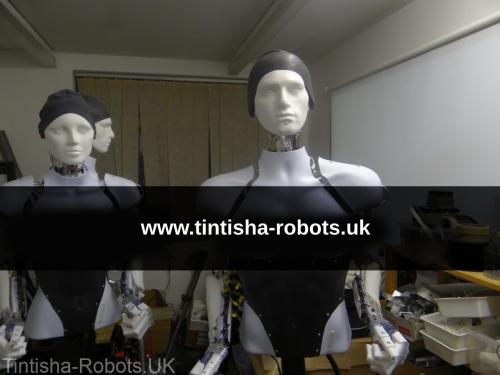 Robot dancers early 2017